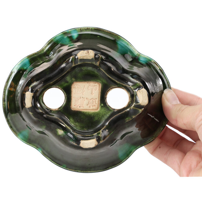 Maceta de bonsái verde Mokko de Shozan - 150 x 130 x 55 mm