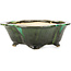 Mokko green bonsai pot by Shozan - 150 x 130 x 55 mm