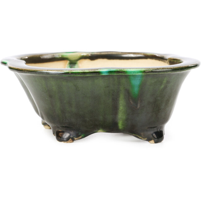 Maceta de bonsái verde Mokko de Shozan - 150 x 130 x 55 mm