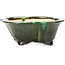 Mokko green bonsai pot by Shozan - 150 x 130 x 55 mm