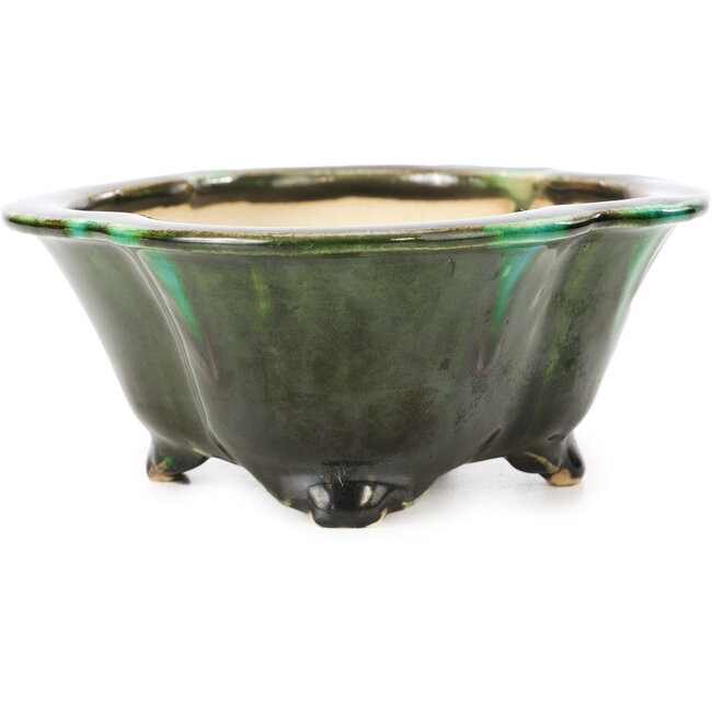 Maceta de bonsái verde Mokko de Shozan - 150 x 130 x 55 mm