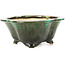 Mokko green bonsai pot by Shozan - 150 x 130 x 55 mm