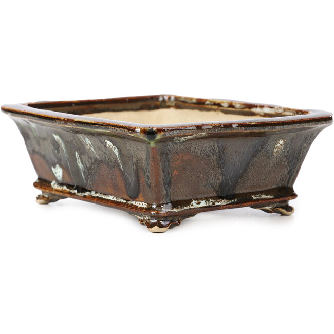Maceta de bonsái marrón rectangular de Shozan - 154 x 129 x 55 mm