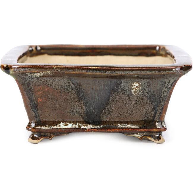 Maceta de bonsái marrón rectangular de Shozan - 154 x 129 x 55 mm