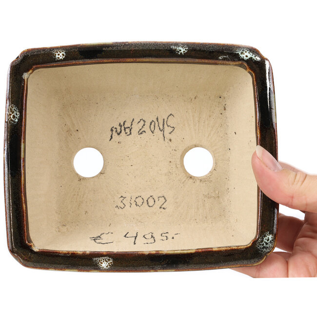 Rectangular brown bonsai pot by Shozan - 154 x 129 x 55 mm