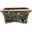 Rectangular brown bonsai pot by Shozan - 154 x 129 x 55 mm