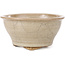 Ronde beige craquelé bonsai pot van Kakuzan - 134 x 134 x 70 mm