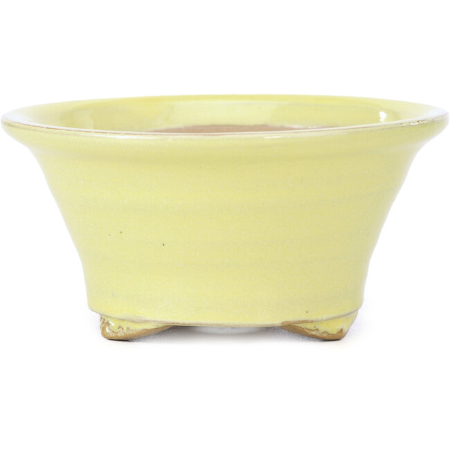 Round yellow bonsai pot by Kakuzan - 128 x 128 x 66 mm