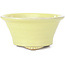 Round yellow bonsai pot by Kakuzan - 128 x 128 x 66 mm