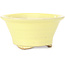 Round yellow bonsai pot by Kakuzan - 128 x 128 x 66 mm