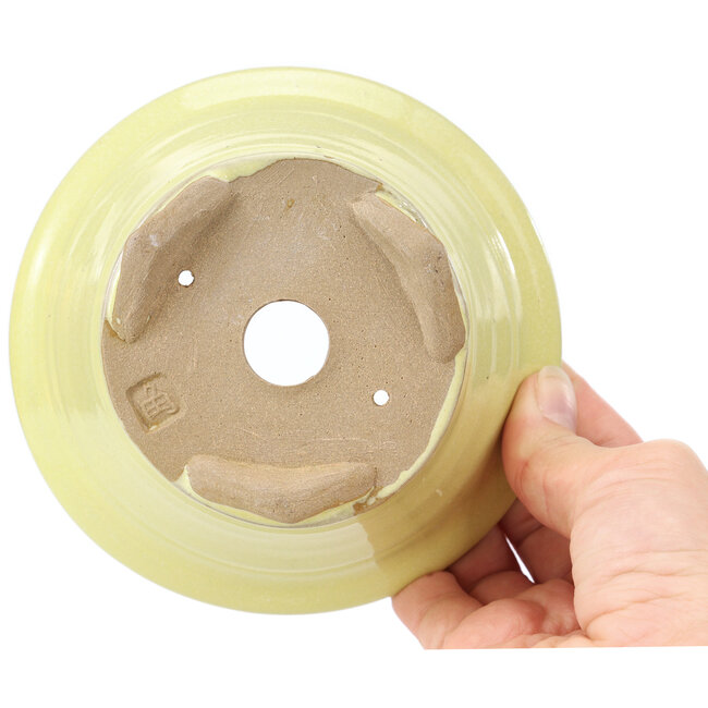 Vaso rotondo giallo per bonsai di Kakuzan - 128 x 128 x 66 mm