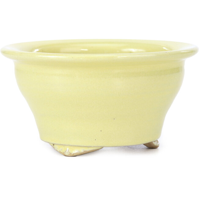 Vaso bonsai rotondo giallo di Kakuzan - 125 x 124 x 70 mm