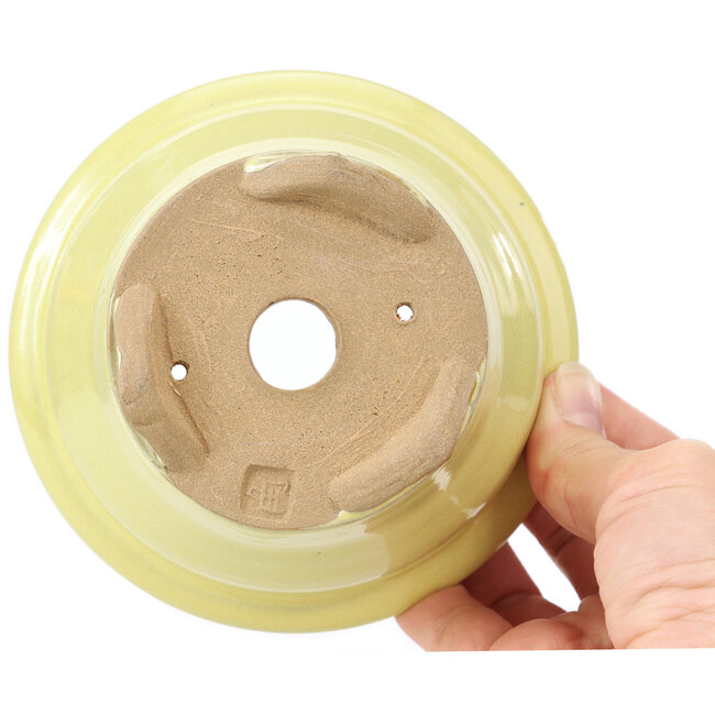 Pot à bonsaï rond jaune par Kakuzan - 125 x 124 x 70 mm