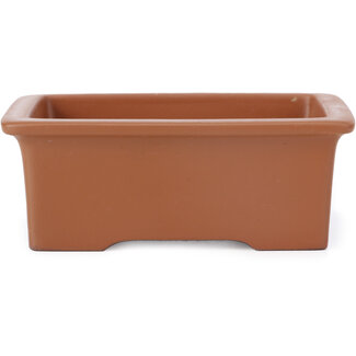 Seto Yaki Maceta de bonsái rectangular sin esmaltar de 115 mm de Seto Yaki, Seto