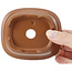 Maceta de bonsái rectangular sin esmaltar de Seto Yaki - 106 x 91 x 48 mm