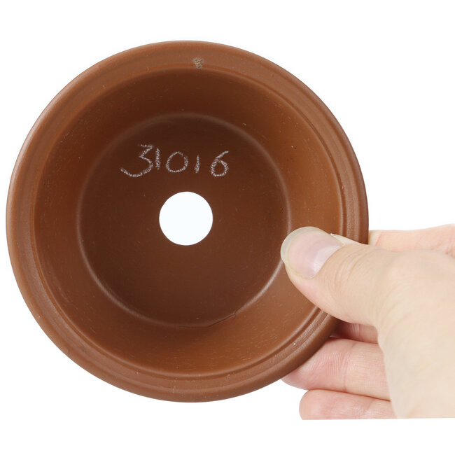 Vaso per bonsai rotondo non smaltato di Seto Yaki - 100 x 100 x 40 mm