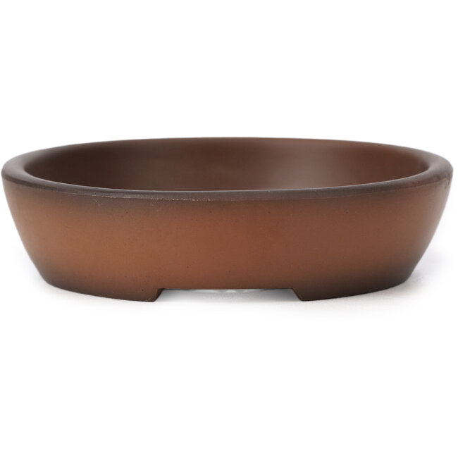 Maceta de bonsái ovalada sin esmaltar de Seto Yaki - 123 x 100 x 24 mm