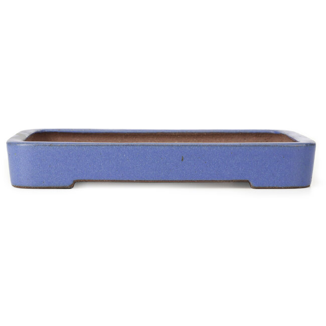 Maceta de bonsái rectangular azul de Reiho - 259 x 180 x 37 mm