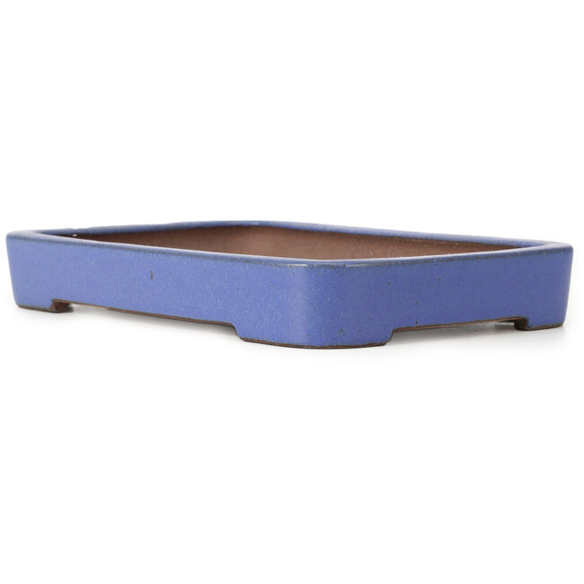 Pot à bonsaï rectangulaire bleu par Reiho - 259 x 180 x 37 mm