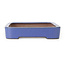 Rectangular blue bonsai pot by Reiho - 259 x 180 x 37 mm