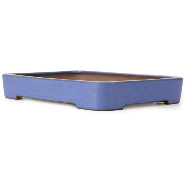 Maceta de bonsái rectangular azul de Reiho - 259 x 180 x 37 mm