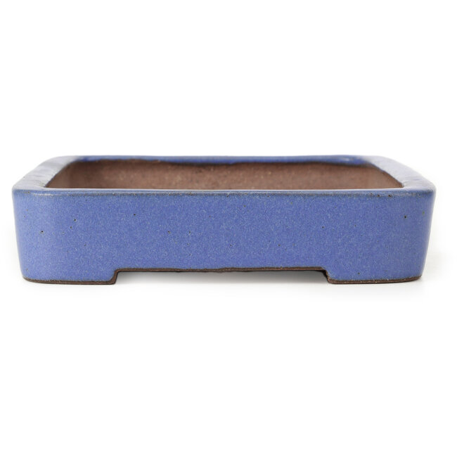 Rectangular blue bonsai pot by Reiho - 259 x 180 x 37 mm