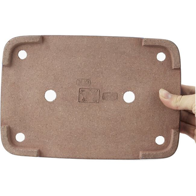 Maceta de bonsái rectangular azul de Reiho - 259 x 180 x 37 mm