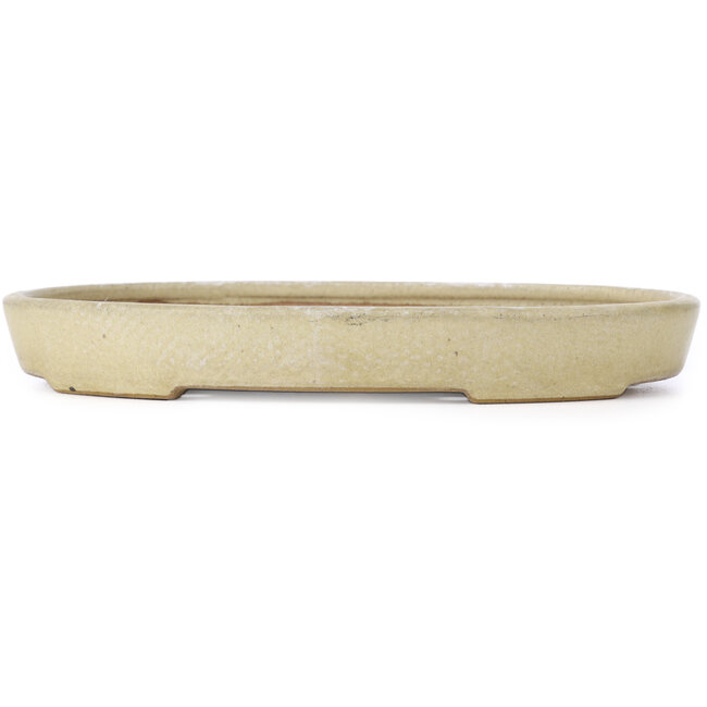 Ovale beige bis gelbe Bonsaischale von Reiho - 255 x 184 x 35 mm