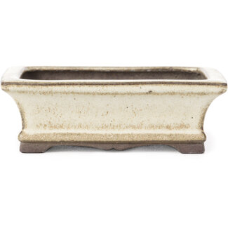  Yamaaki Pot à bonsaï rectangulaire de 120 mm en blanc cassé avec beige de Yamaaki, Tokoname, Japon