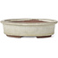 Ovale graubeige Bonsaischale von Yozan - 120 x 100 x 34 mm