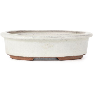  Eimei ( Yozan kiln) 123 mm ovale witte bonsaipot van Yozan, Tokoname, Japan