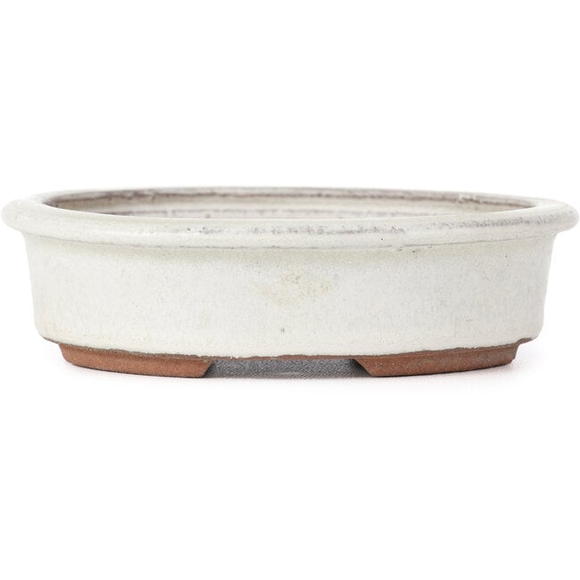 Oval white bonsai pot by Yozan - 123 x 103 x 35 mm