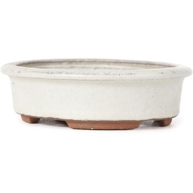 Oval white bonsai pot by Yozan - 123 x 103 x 35 mm
