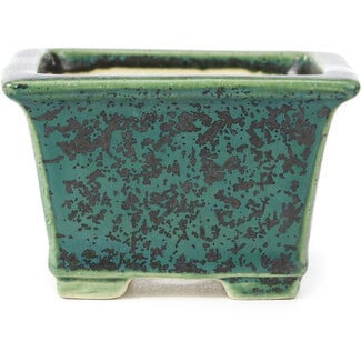 Koyo - Koichirou Aiba  94 mm square green bonsai pot by Koyou, Tokoname, Japan