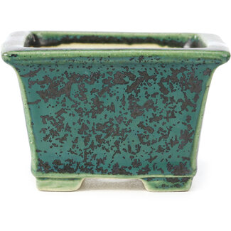 Koyo - Koichirou Aiba  Pot à bonsaï vert carré de 94 mm par Koyou, Tokoname, Japon