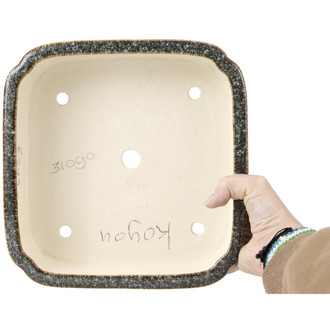 Pot à bonsaï carré marron par Koyou - 250 x 253 x 76 mm