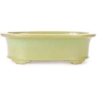 Koyo - Koichirou Aiba  299 mm oval yellowish green bonsai pot by Koyou, Tokoname, Japan