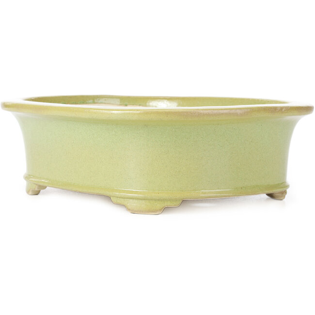 Ovale gelbgrüne Bonsaischale von Koyou - 299 x 247 x 90 mm
