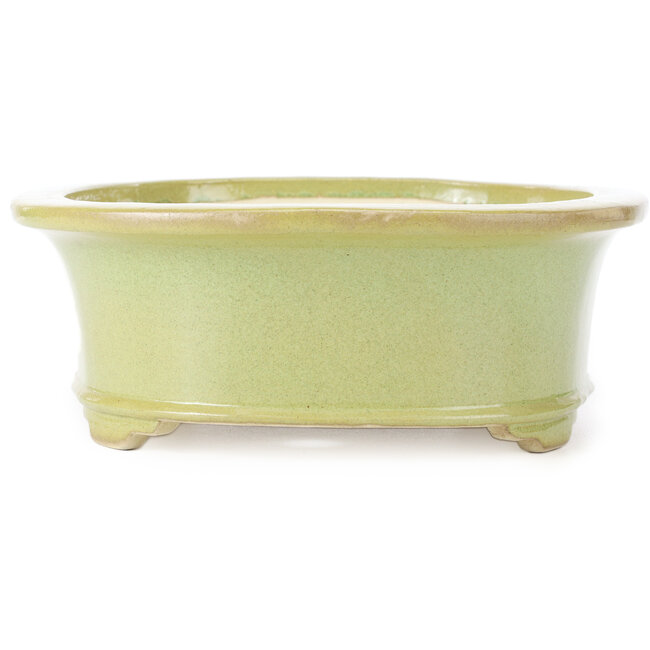 Oval yellowish green bonsai pot by Koyou - 299 x 247 x 90 mm