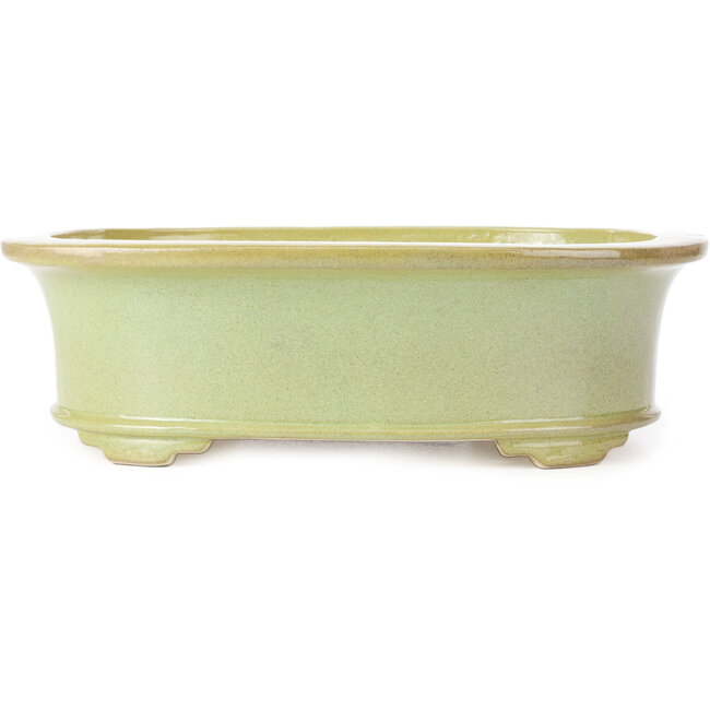 Oval yellowish green bonsai pot by Koyou - 299 x 247 x 90 mm
