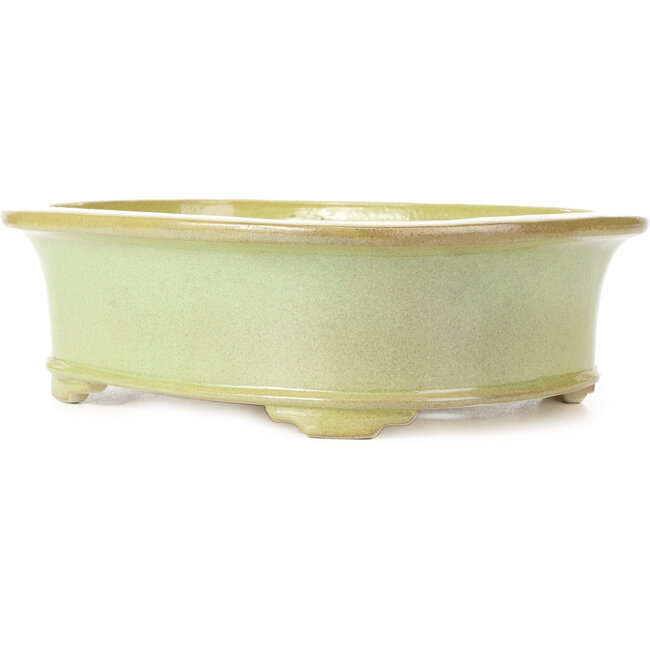 Maceta de bonsái verde amarillento ovalada de Koyou - 299 x 247 x 90 mm
