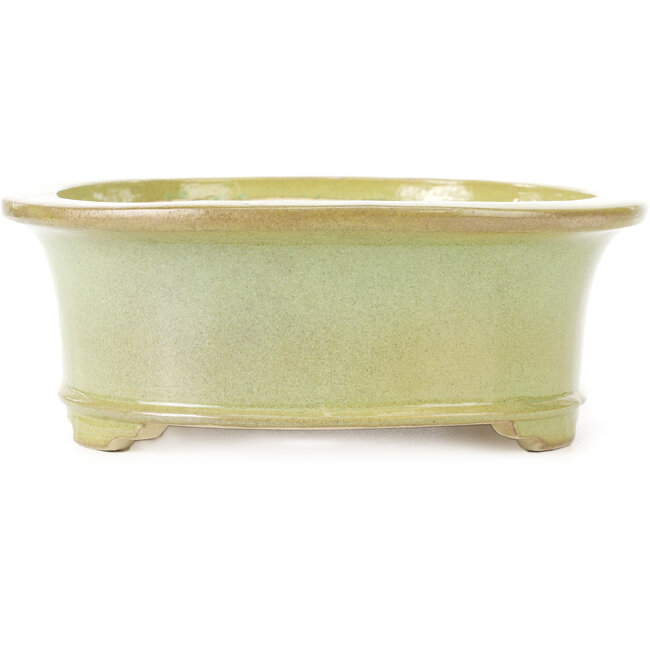 Oval yellowish green bonsai pot by Koyou - 299 x 247 x 90 mm