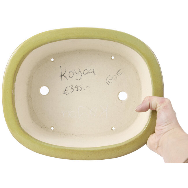 Vaso bonsai ovale verde giallastro di Koyou - 299 x 247 x 90 mm