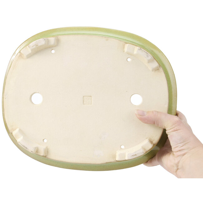 Pot à bonsaï ovale vert jaunâtre par Koyou - 299 x 247 x 90 mm