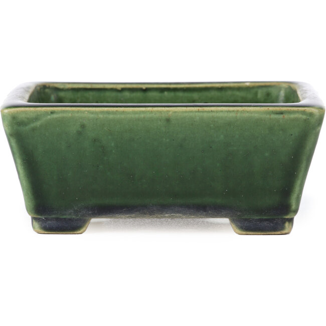 Rectangular green bonsai pot by Terahata Satomi Mazan - 145 x 122 x 58 mm