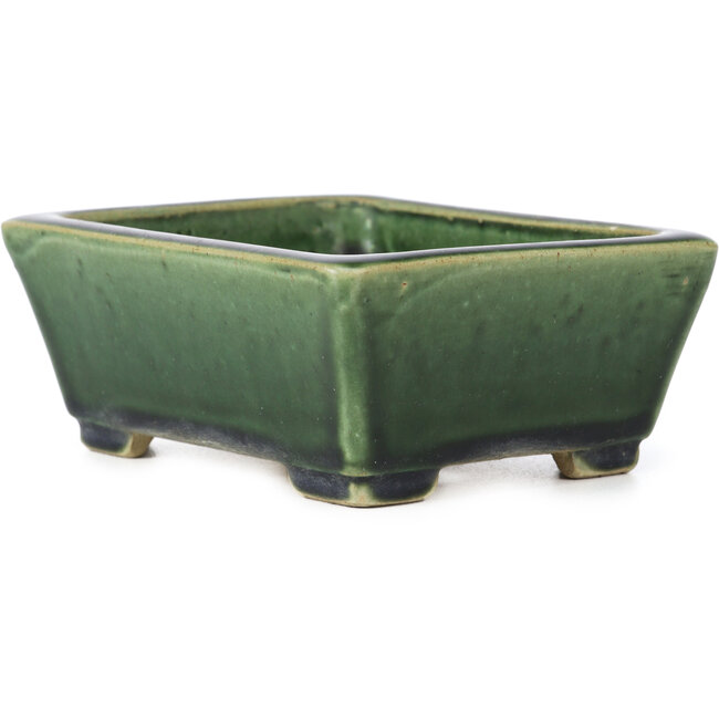 Vaso bonsai verde rettangolare di Terahata Satomi Mazan - 145 x 122 x 58 mm