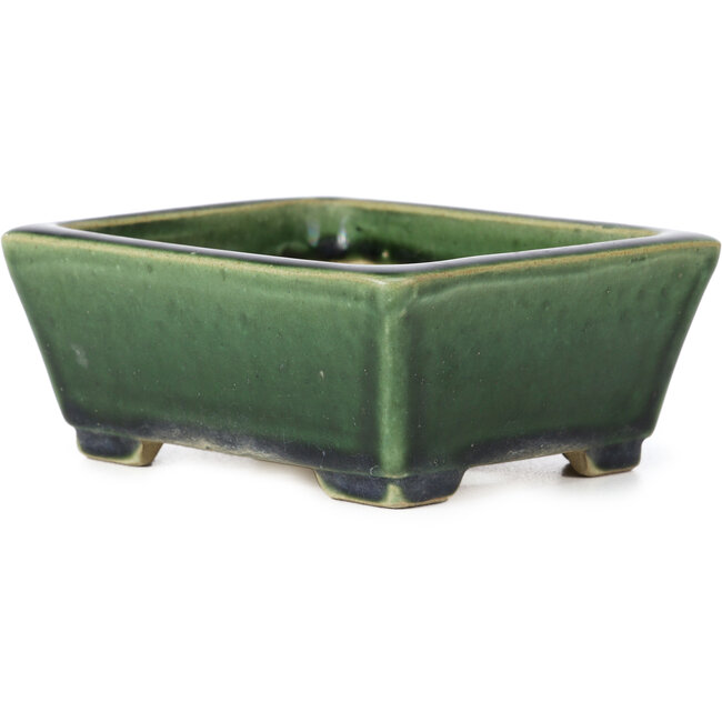 Maceta de bonsái verde rectangular de Terahata Satomi Mazan - 145 x 122 x 58 mm