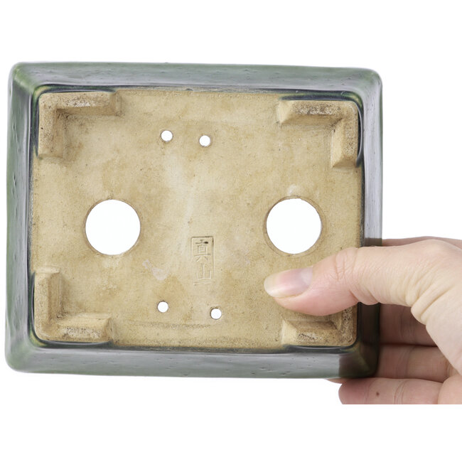 Vaso bonsai verde rettangolare di Terahata Satomi Mazan - 145 x 122 x 58 mm