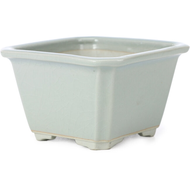 Maceta de bonsái cuadrada azul craquelé de Tosui - 110 x 110 x 70 mm