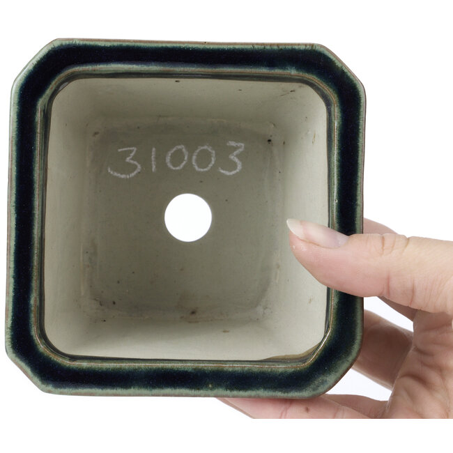 Maceta de bonsái cuadrada azul de Tosui - 110 x 110 x 70 mm